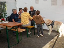 IMG_3246
